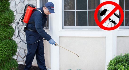 Doğubayazıt Böcek İlaçlama böcek ilaçlama ve haşere kontrolü — ilaclama-tr.com
